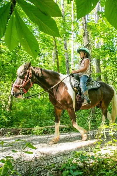 Cavallo a cavallo lungo un sentiero 