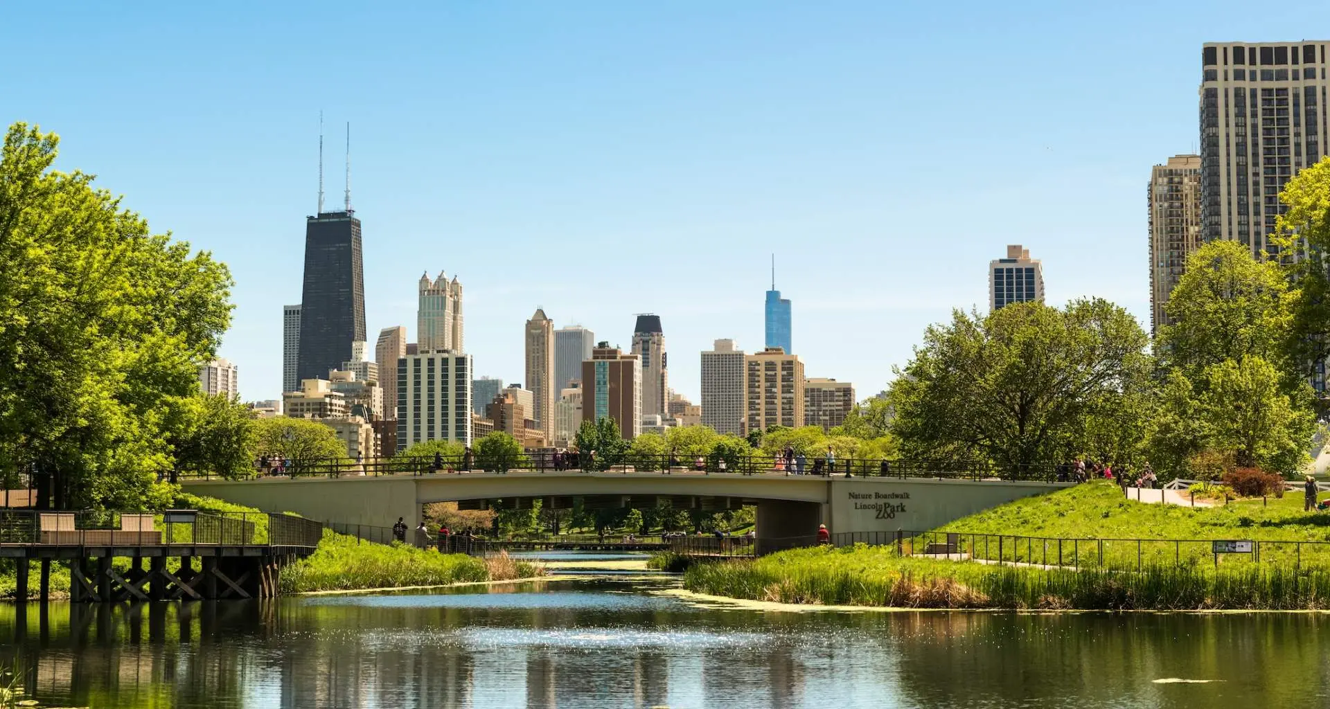 Terreno verde e alberi con un ponte ed edifici cittadini alle spalle