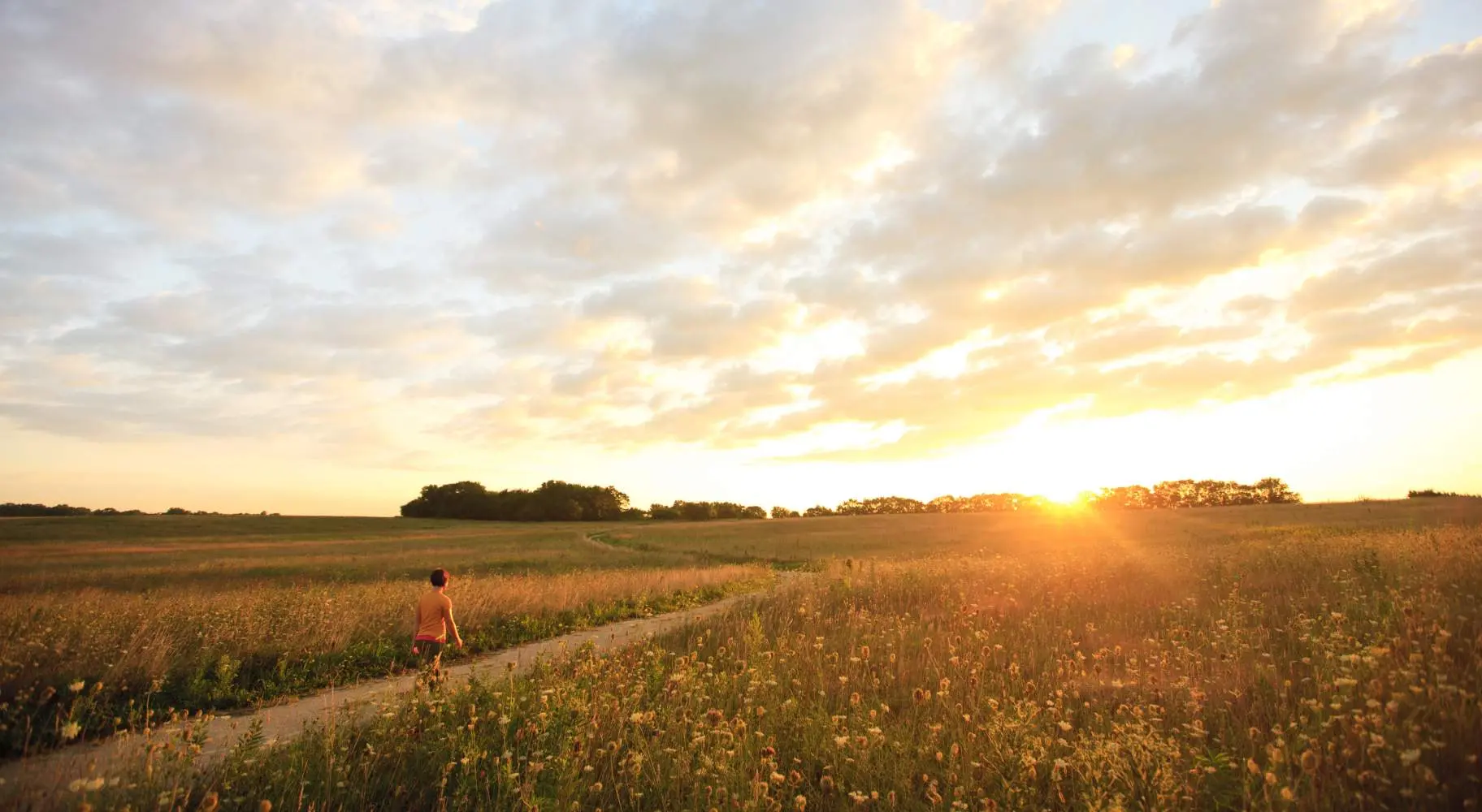 Persona che fa un'escursione nella Midewin National Tallgrass Prairie al tramonto 