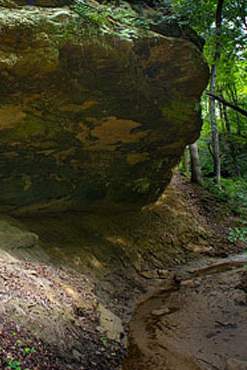 Una grotta di roccia nella foresta
