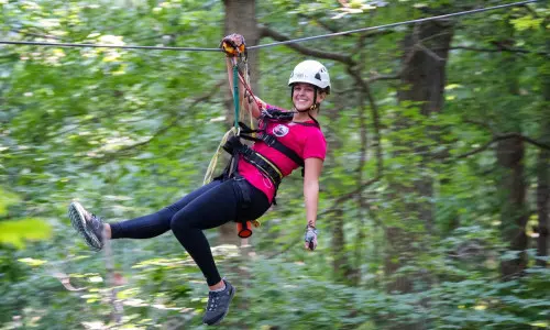 Tour tra le cime degli alberi
