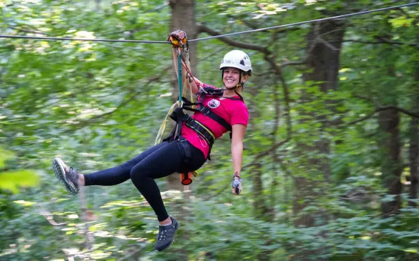 Tour tra le cime degli alberi
