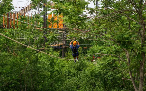 Zipline alla Fucina