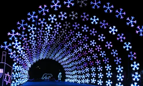 Uno spettacolo di luci per le vacanze.