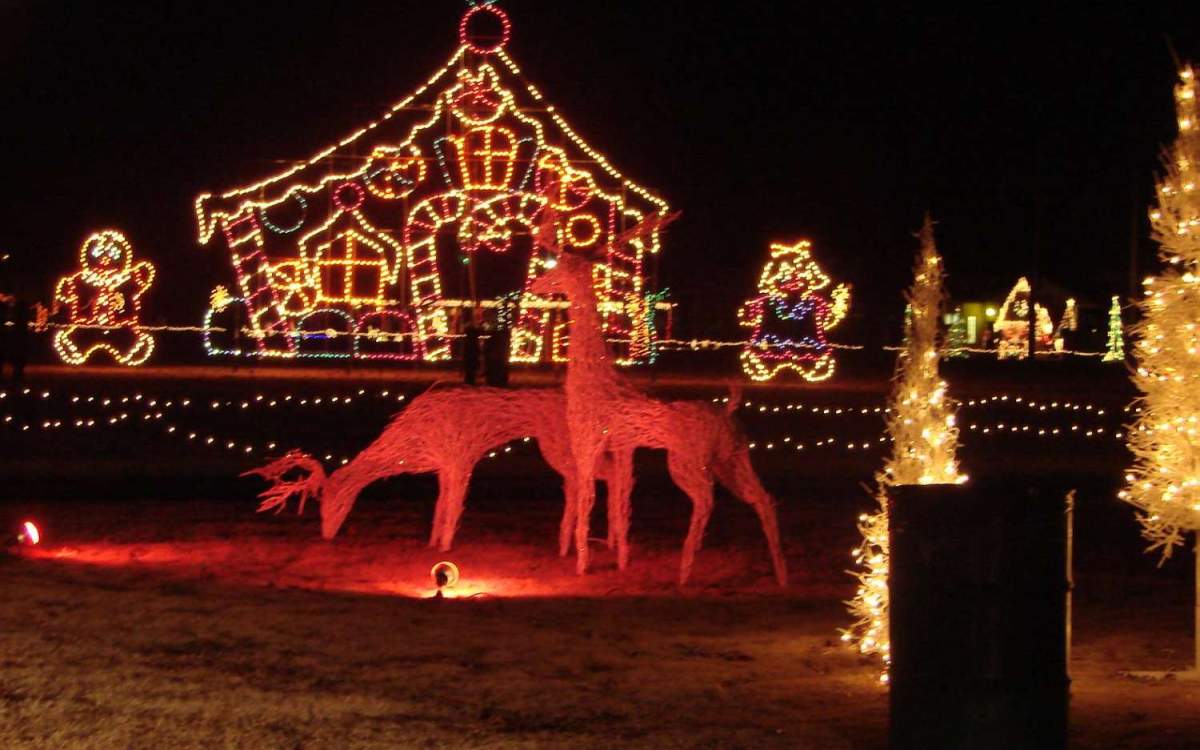 Guida agli spettacoli di luce e ai festival di Natale Enjoy Illinois