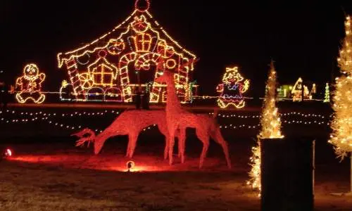 renne e altri spettacoli di luce festosi 