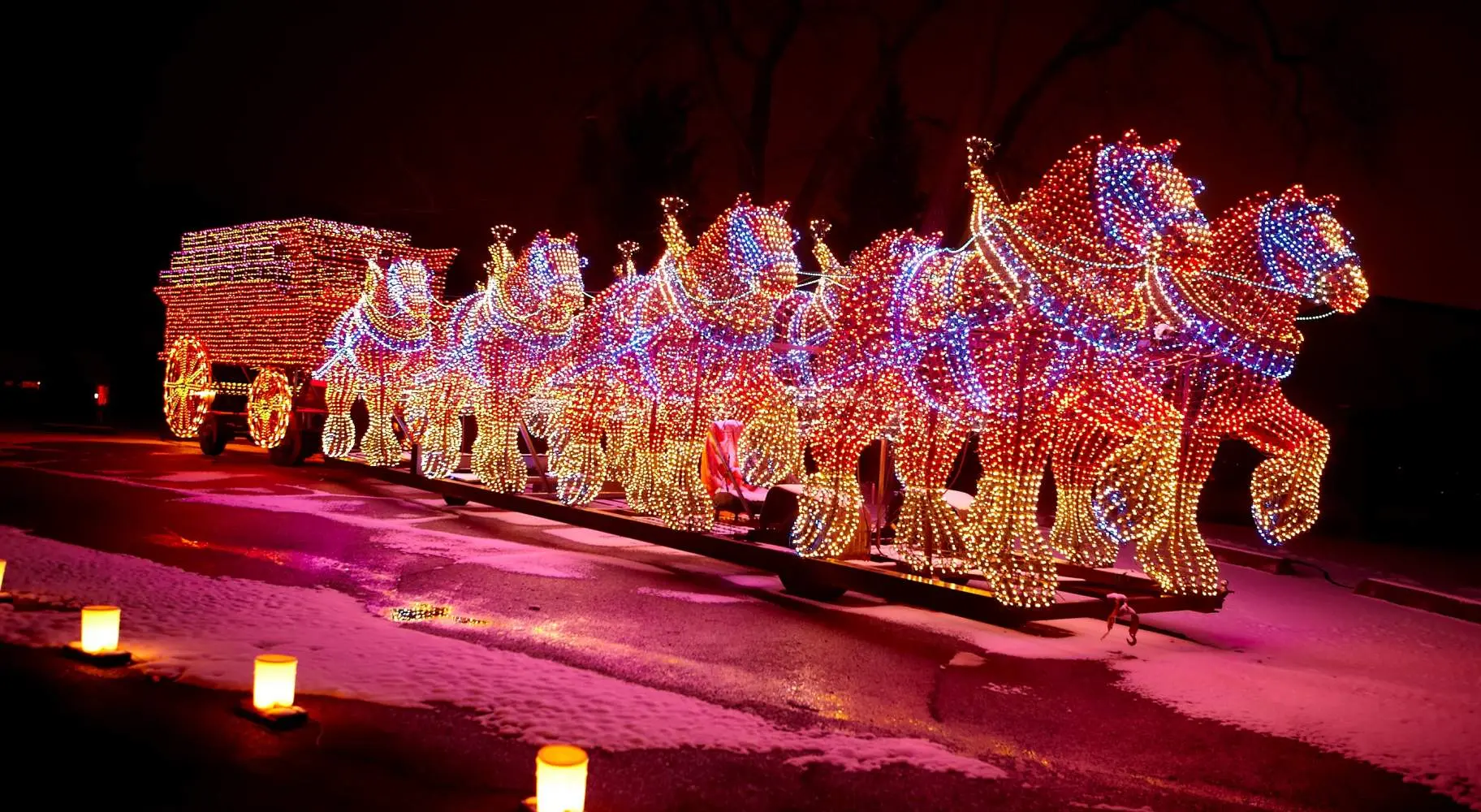 Esposizione natalizia ricoperta di luci