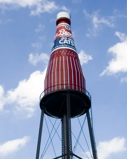 La gigantesca Brooks Catsup Bottle  sullo sfondo di un cielo azzurro a Collinsville