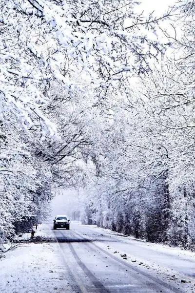 Auto che percorre la strada con alberi innevati ai lati