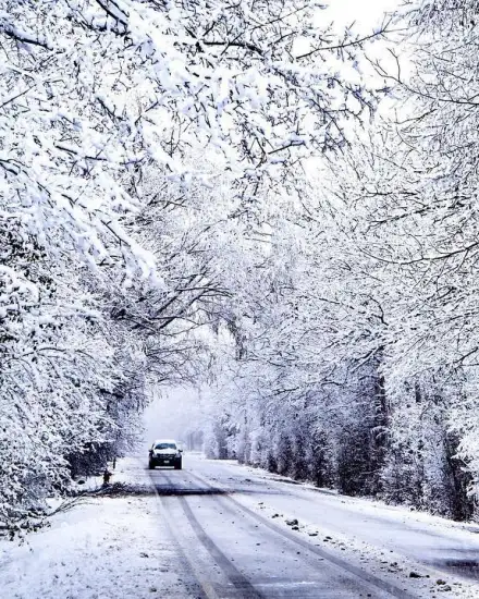 Auto che percorre la strada con alberi innevati ai lati