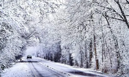 Auto che percorre la strada fiancheggiata da alberi innevati
