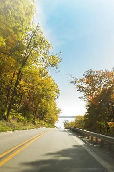 Una strada circondata dal fogliame autunnale