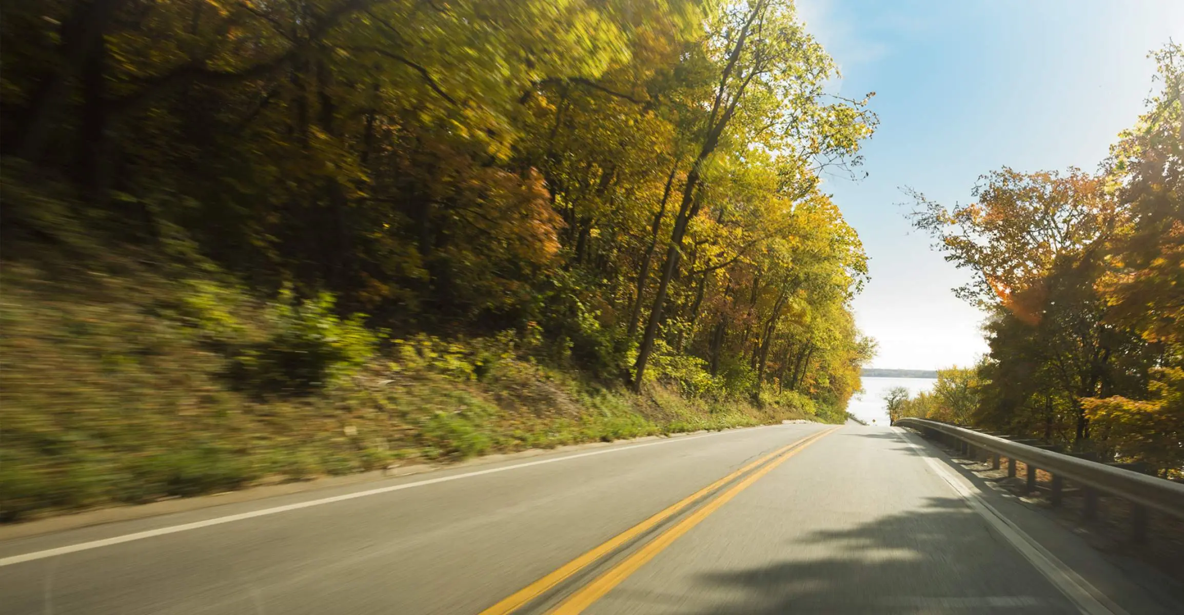 Una strada circondata dal fogliame autunnale