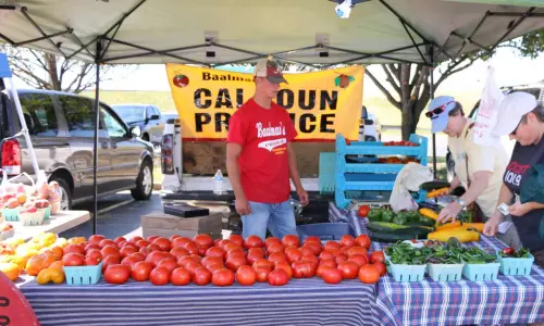 Una bancarella al mercato contadino di Alton, Illinois