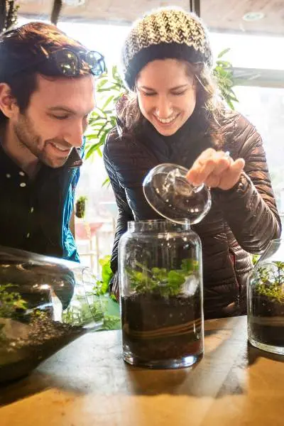 Una coppia osserva i terrari piantati presso Sprout Home a Chicago