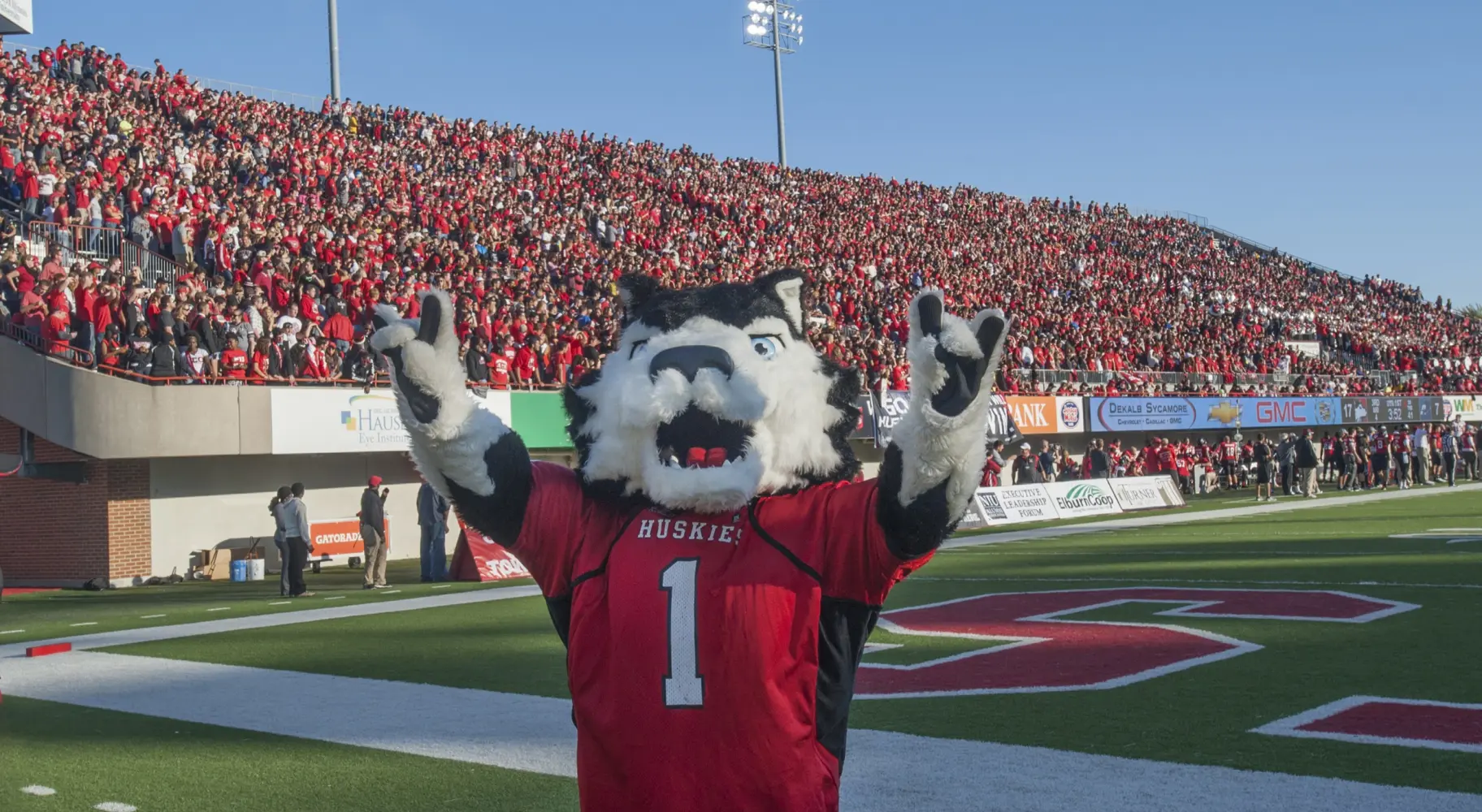 Il cane mascotte degli Huskies dell'Università dell'Illinois, durante una partita di calcio molto partecipata
