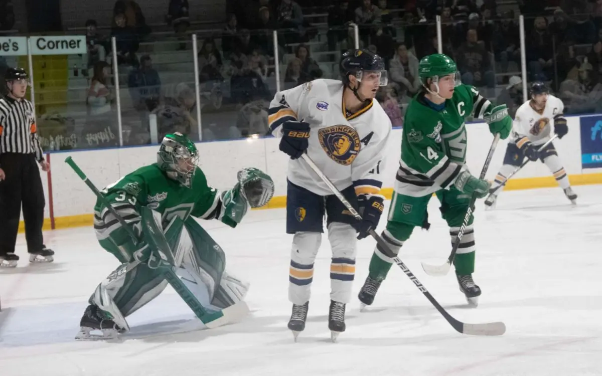 Stagione di hockey degli Springfield Jr Blues